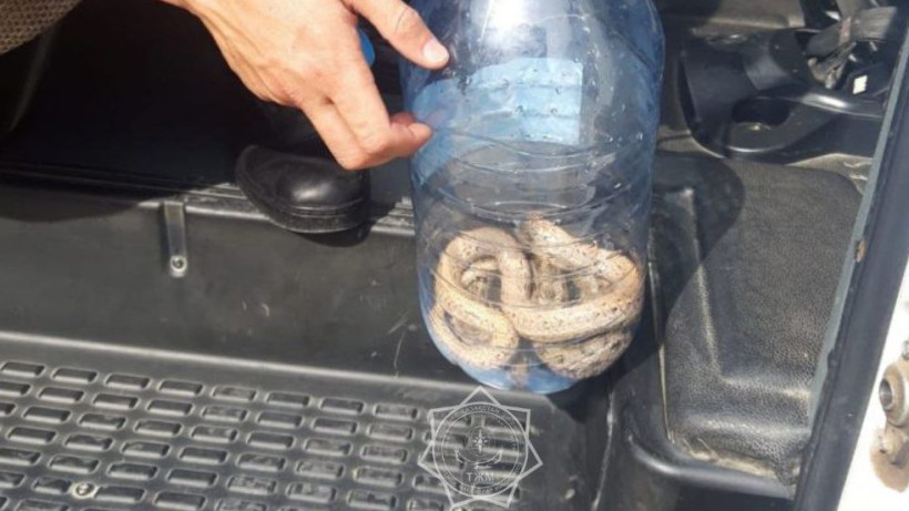  пресс-служба МЧС РК 