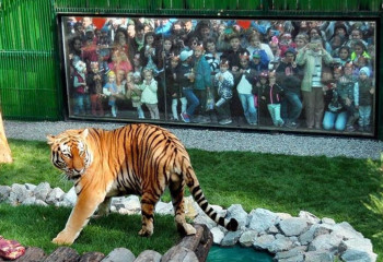 Алматы хайуанаттар бағында жазғы мектепке өтінім қабылдау басталды