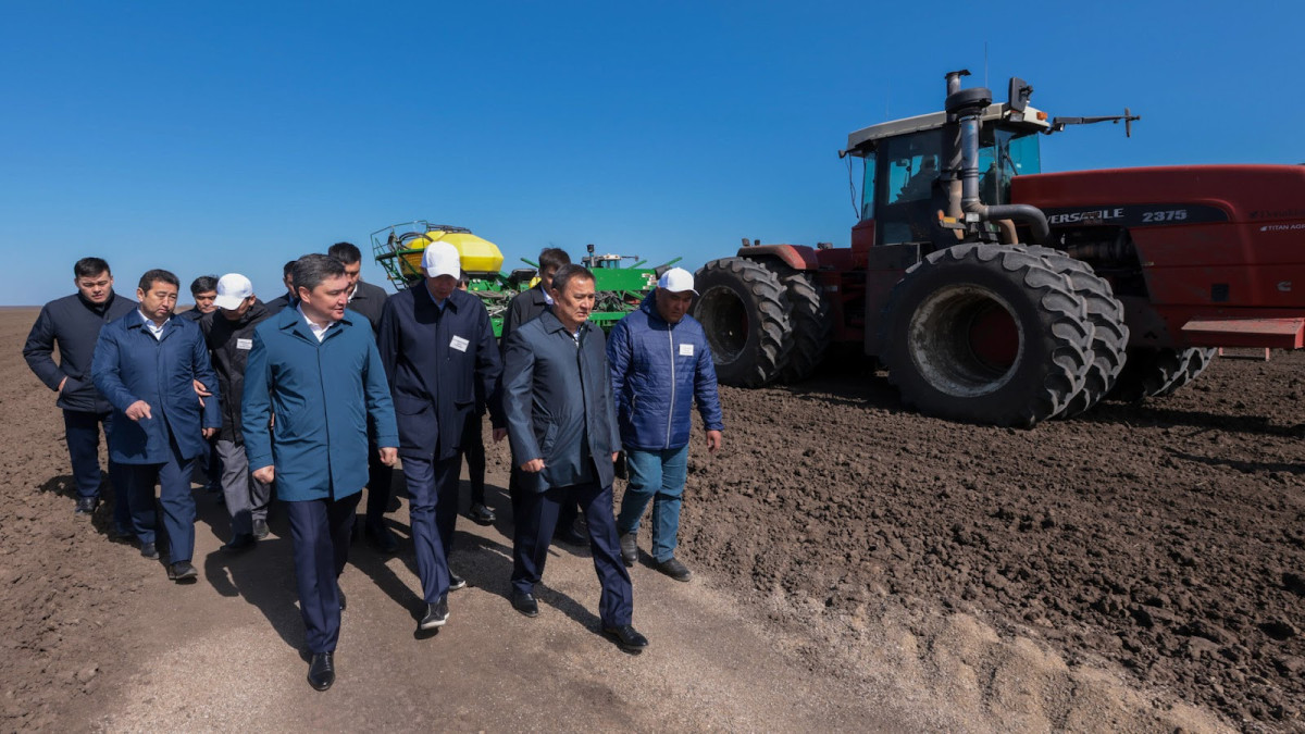  t.me/aqorda_resmi 
