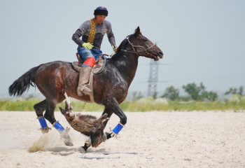 Шымкентте көкпардан ересектер арасындағы республикалық турнир аяқталды