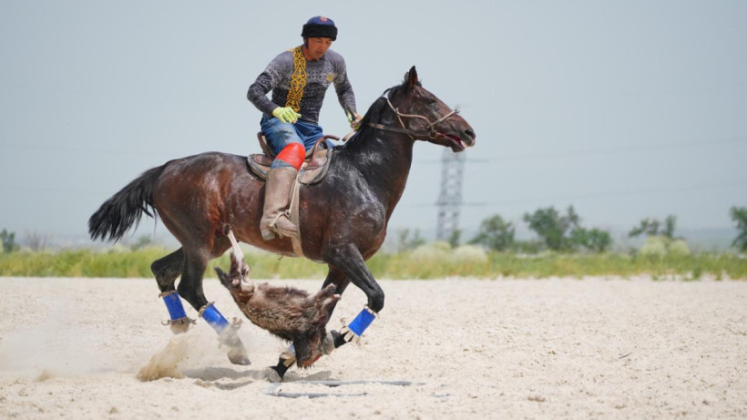  Көкпар федерациясы 