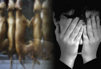 «Мал бақтырып, иттің етін берген». Шымкентте ер адам асырап алған балаларын қорлаған