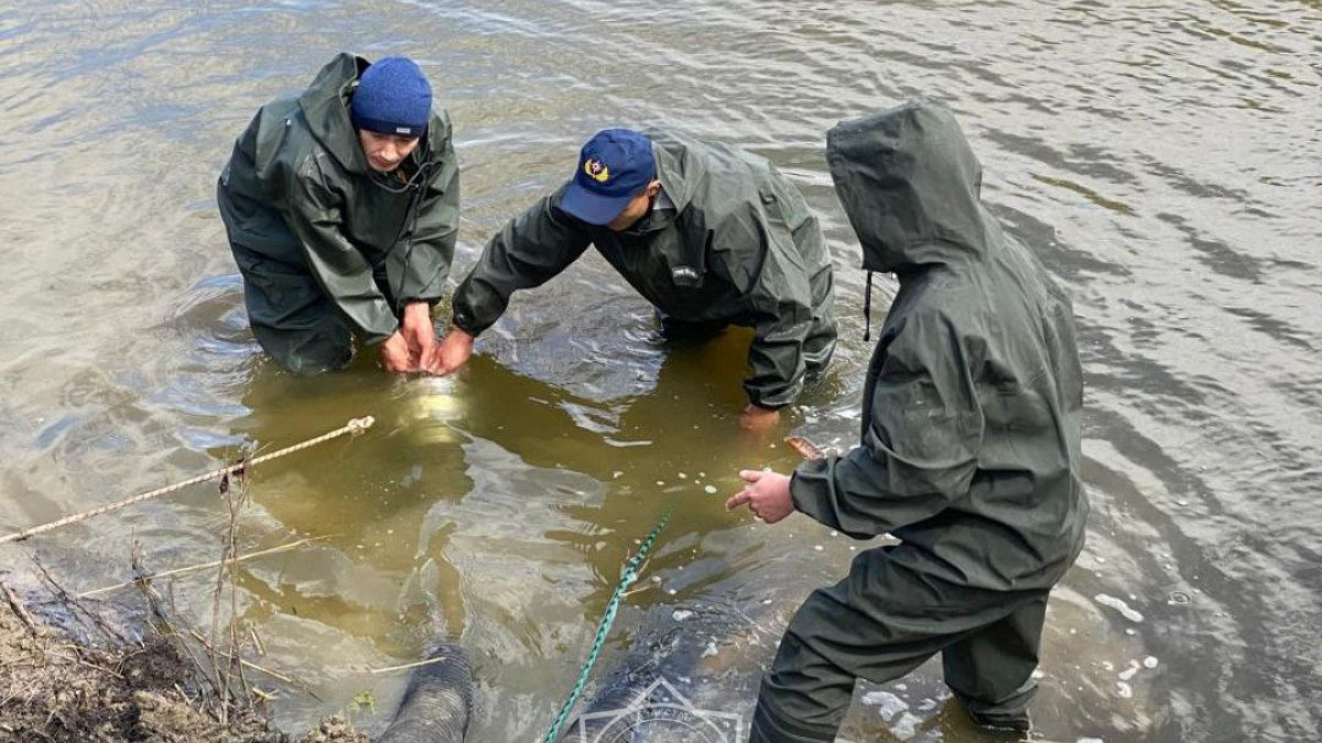  Ministry of Emergency Situations 