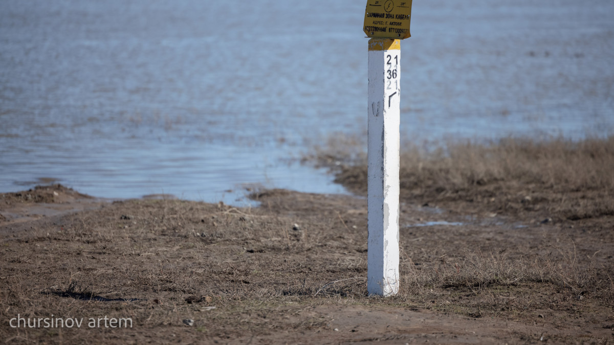  El.kz/Артем Чурсинов 