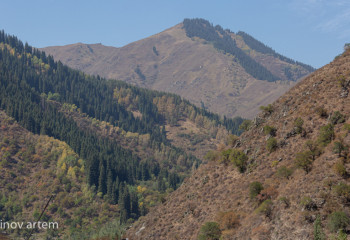 Алматы прокурорлары «Медеу» табиғи паркінің жерлерін мемлекетке қайтарды