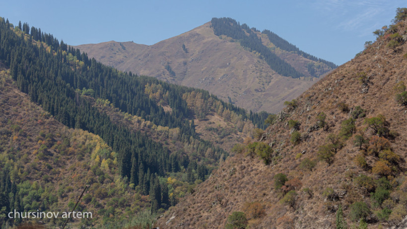  El.kz/Артем ЧУРСИНОВ 