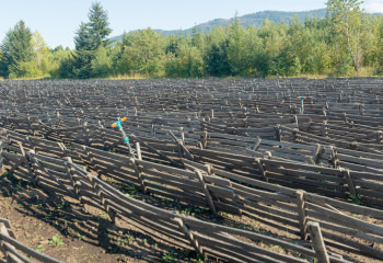 Прокуроры области Абай вернули государству земли на 397 млн тенге