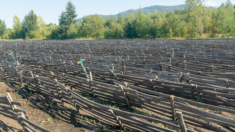  © El.kz/Артем ЧУРСИНОВ 