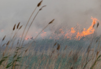 В Астане в районе Сарыарка начался пожар