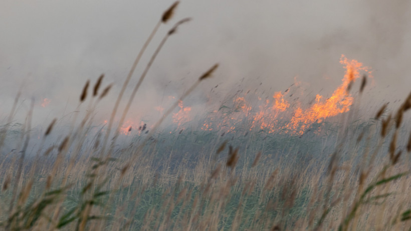  © El.kz/Артем ЧУРСИНОВ 