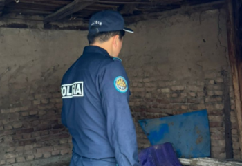 Түркістан облысында 3 жасар қыздың өліміне полиция пікір білдірді