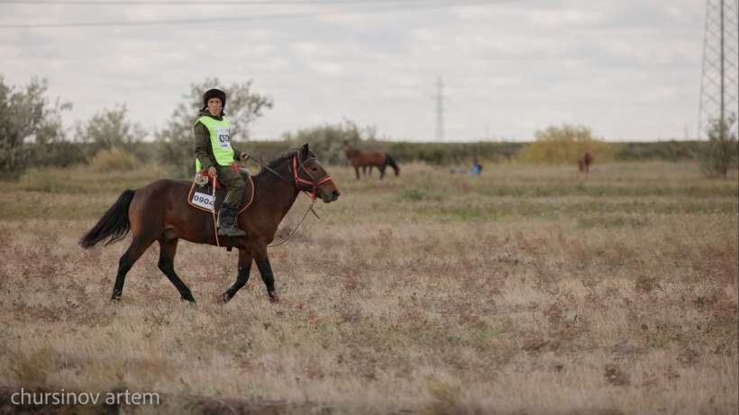  ©El.kz/Артем ЧУРСИНОВ 