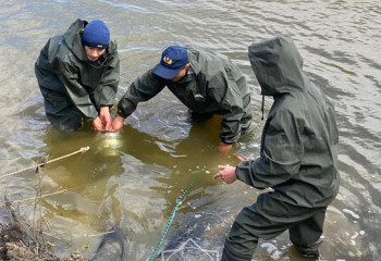 Более тысячи тонн гуманитарной помощи доставлено в Кульсары за время паводков