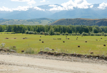 Былтыр Қазақстан курорттарында 3,8 млн-нан астам адам демалған