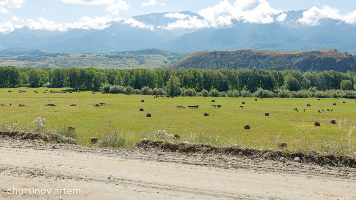  ©El.kz/Артем ЧУРСИНОВ 