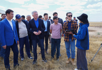 Over 90% of lands in Turkestan region treated against Moroccan locusts
