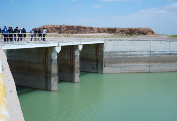 В Туркестанской области запустят первую откормплощадку по австралийскому методу