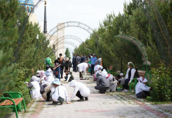 Экологическая инициатива 