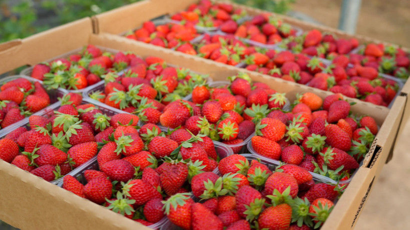  пресс-служба Правительства РК 