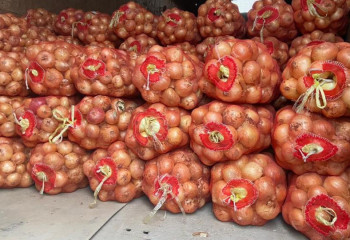 В Кызылординскую область начались поставки ранних овощей