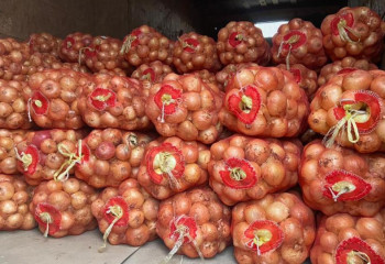 Қызылордаға ерте пісетін пияздың алғашқы легі жеткізіле бастады