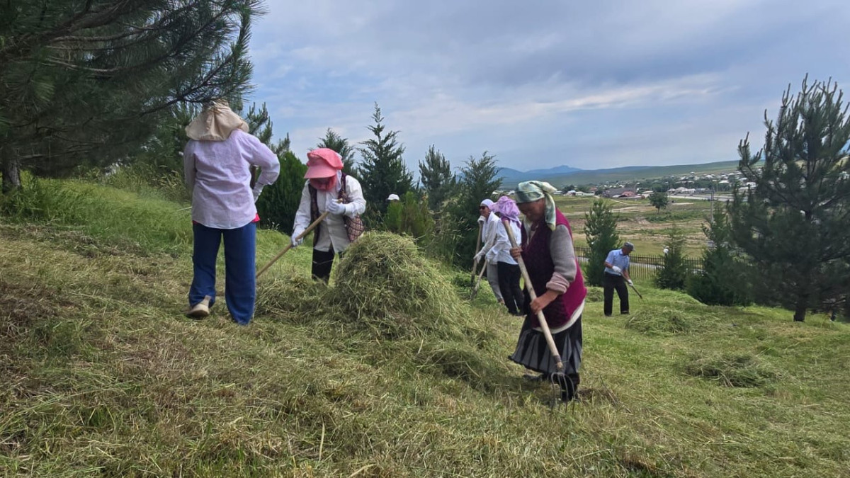  Түркістан облысының Өңірлік коммуникациялар қызметі 