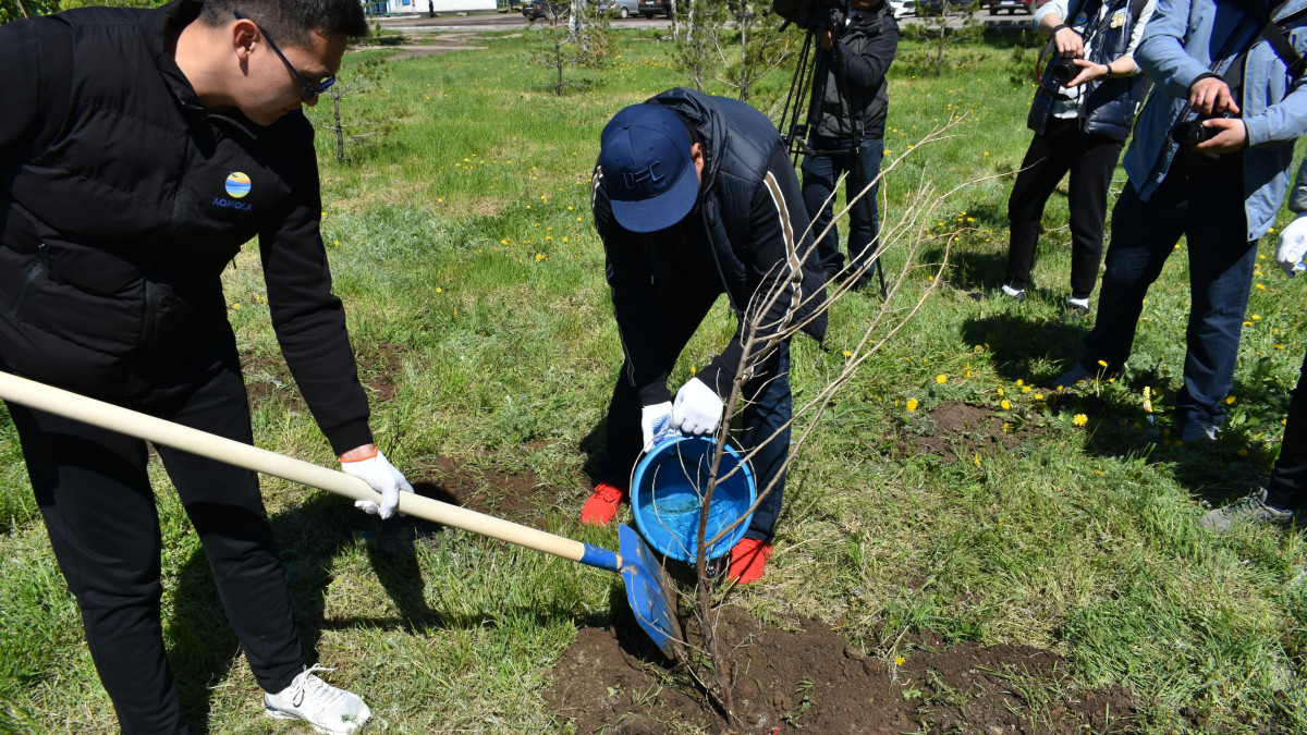  Акимат Атбасарского района 