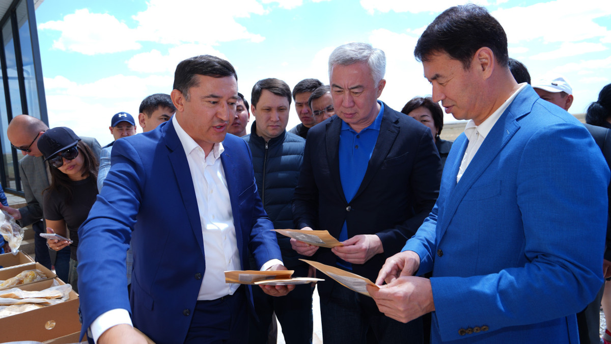  primeminister.kz 