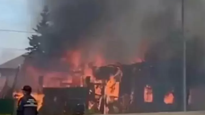  Видеодан кадр 