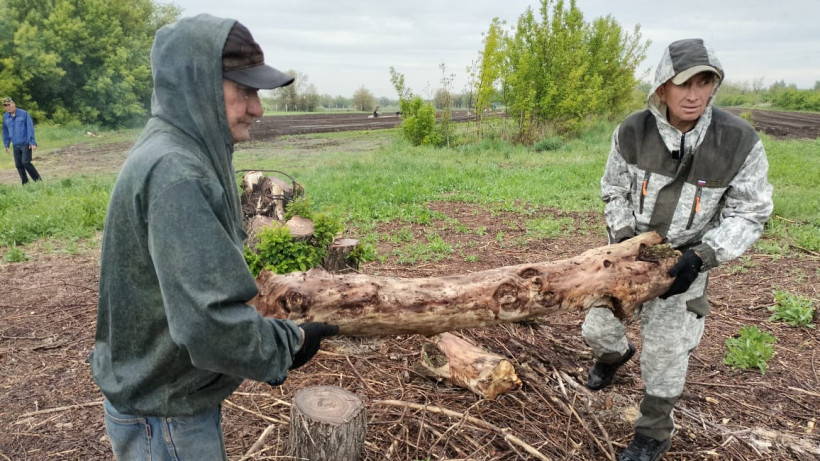  фото Жасалы Ел 