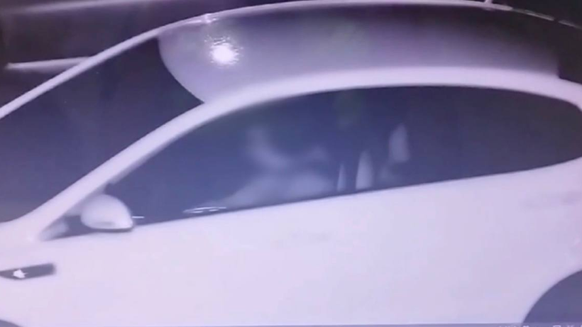  скриншот видео 