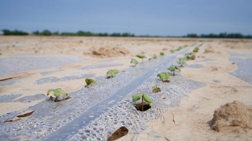  © пресс-служба Правительства РК 