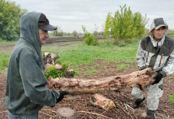 Ақтөбеде 500-ге жуық адам тазалық акциясына атсалысты