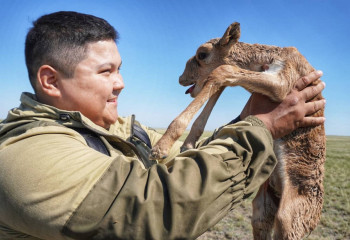 Блогер в Актау покормил кота с помощью дрона