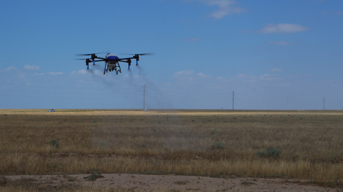 Мониторинг саранчи в Казахстане будут проводить с помощью дронов