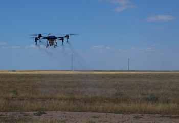 Мониторинг саранчи в Казахстане будут проводить с помощью дронов