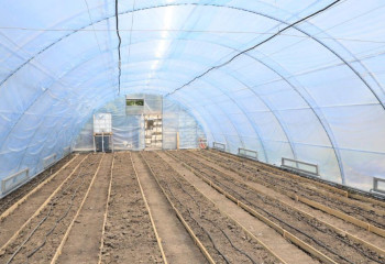 Теплицы с новыми технологиями могут рассчитывать на инвестсубсидии