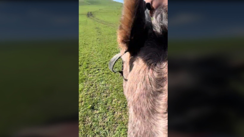  Кадр из видео 