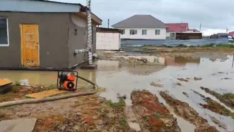  Видеодан кадр 