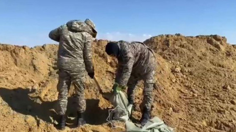  Видеодан кадр 