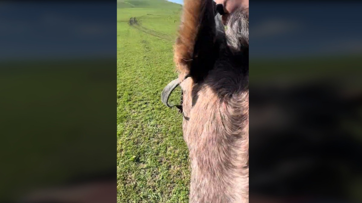  Кадр из видео 