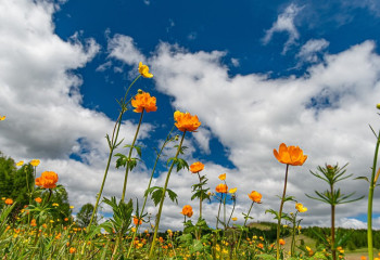 Синоптиктер маусым айында ауа райы қандай болатынын айтты