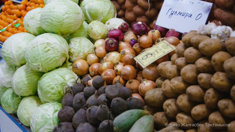  ©El.kz/Жалғасбек ТОҚТАМЫСОВ 