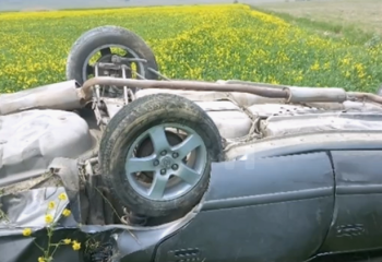 Жамбыл облысында түлектер мінген көлік жол апатына түсіп, жүргізуші қыз көз жұмды