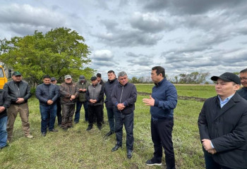 Үш облыста егіс алқабының 40% -на егін егілді