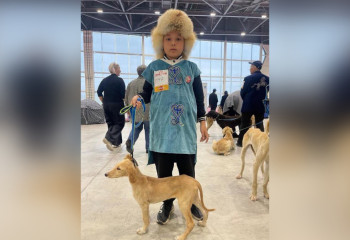 Международная выставка по признанию собак породы қазақ тазы прошла в столице Казахстана