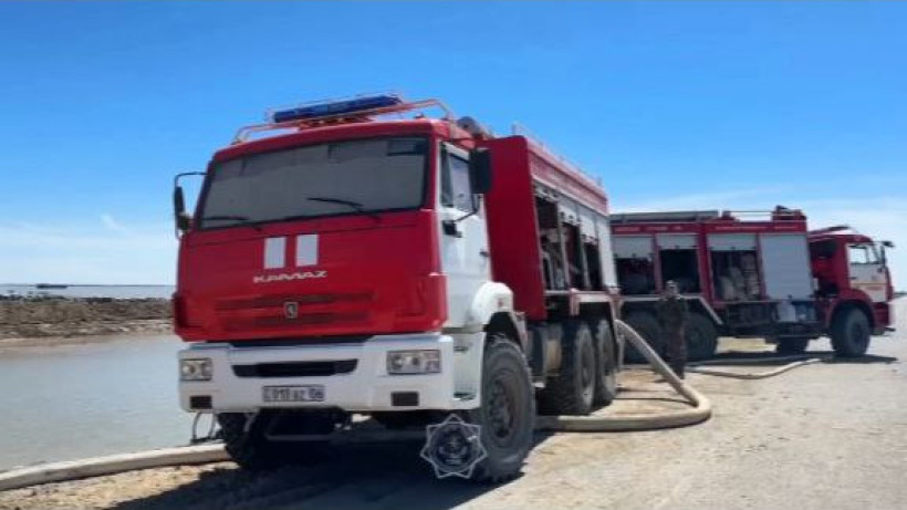  Видеодан кадр 