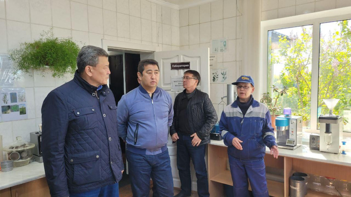  facebook/Ғауез Нұрмұхамбетов 