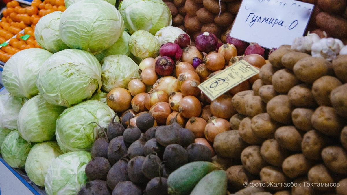  ©El.kz/Жалғасбек ТОҚТАМЫСОВ 