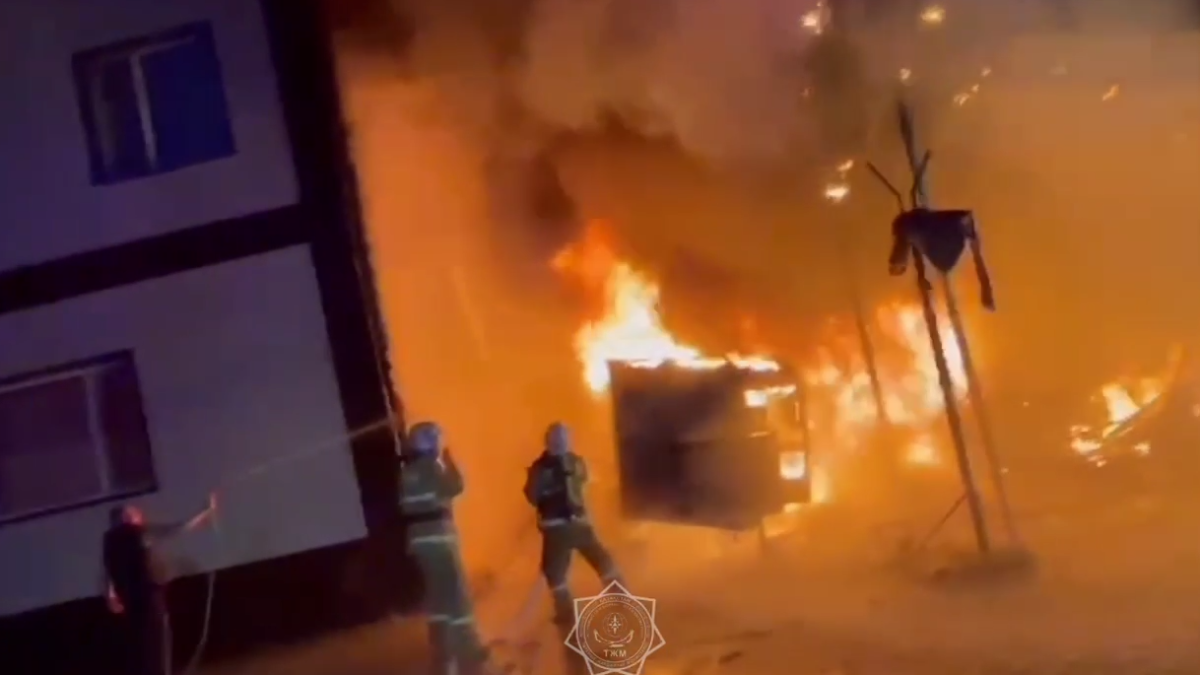  Видеодан кадр 